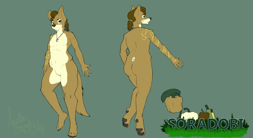 2021 4_toes absurd_res acethebigbadwolf anthro ass canid canine canis dobi feet green_eyes hi_res jewelry male mammal model_sheet necklace solo tattoo toes wolf