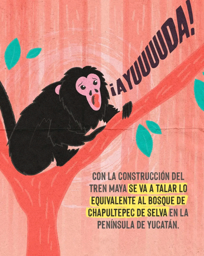 4:5 ambiguous_gender atelid haplorhine hi_res mammal mexico monkey new_world_monkey plant primate sad scared solo spanish_text spider_monkey text tree tren_maya unknown_artist yucatan