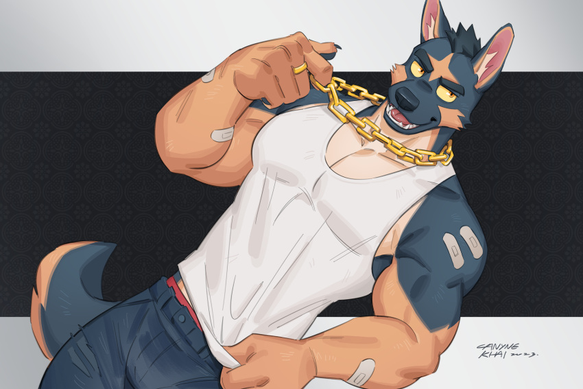 3:2 5_fingers anthro bandage canid canine canis canyne_khai chain_necklace chains clothed clothing domestic_dog eyebrows fingers gold_(metal) gold_chain hi_res inner_ear_fluff jewelry kemono male mammal muscular muscular_anthro muscular_male necklace open_mouth open_smile ring_(jewelry) smile solo tuft