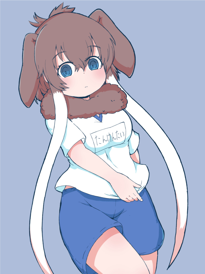 alternate_costume animal_ears blue_eyes blue_shorts brown_fur brown_hair cowboy_shot elephant_ears elephant_girl extra_ears female fur_collar gym_shirt gym_shorts gym_uniform highres kemono_friends long_hair looking_at_viewer mammoth_(kemono_friends) name_tag numazoko_namazu shirt short_sleeves shorts sidelocks solo t-shirt translation_request white_hair white_shirt