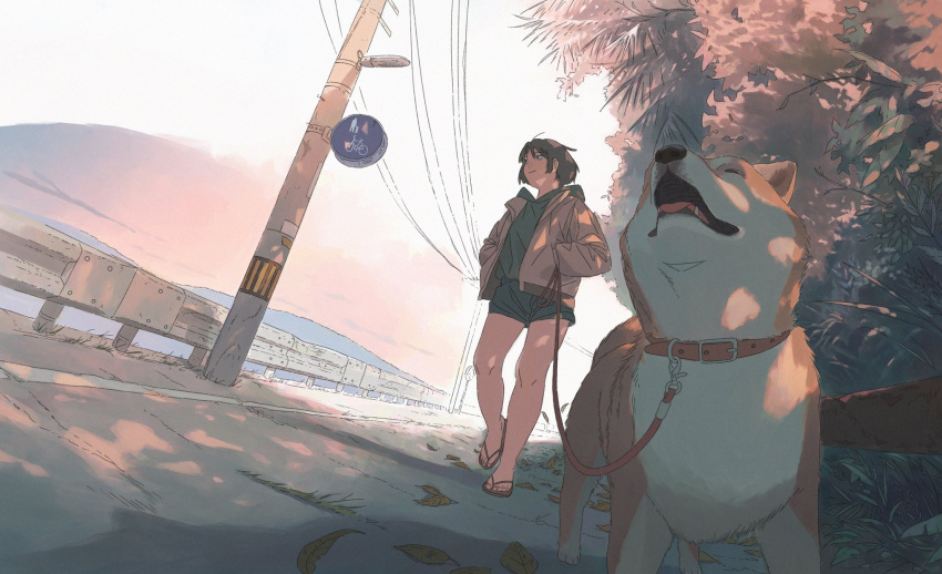 animal bare_arms brown_hair bush canine commentary dappled_sunlight day dutch_angle female flip-flops guard_rail hands_in_pockets highres holding holding_leash hood hood_down hoodie jacket jiankun_yu leaf leash long_sleeves looking_away looking_to_the_side ocean open_clothes open_jacket original outdoors palm_leaf pet_walking power_lines road_sign sandals shiba_inu short_hair sign sky smile sunlight symbol-only_commentary utility_pole walking