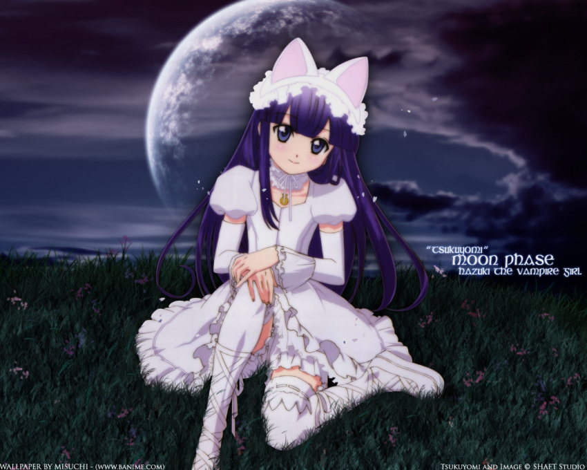 aizawa_masahiro animal_ears cat_ears copyright_name dress fake_animal_ears female full_moon grass hazuki_(tsukuyomi) lolita_fashion long_hair long_sleeves looking_at_viewer moon night sitting solo sweet_lolita thighhighs third-party_edit third-party_watermark tsukuyomi_moonphase watermark white_dress