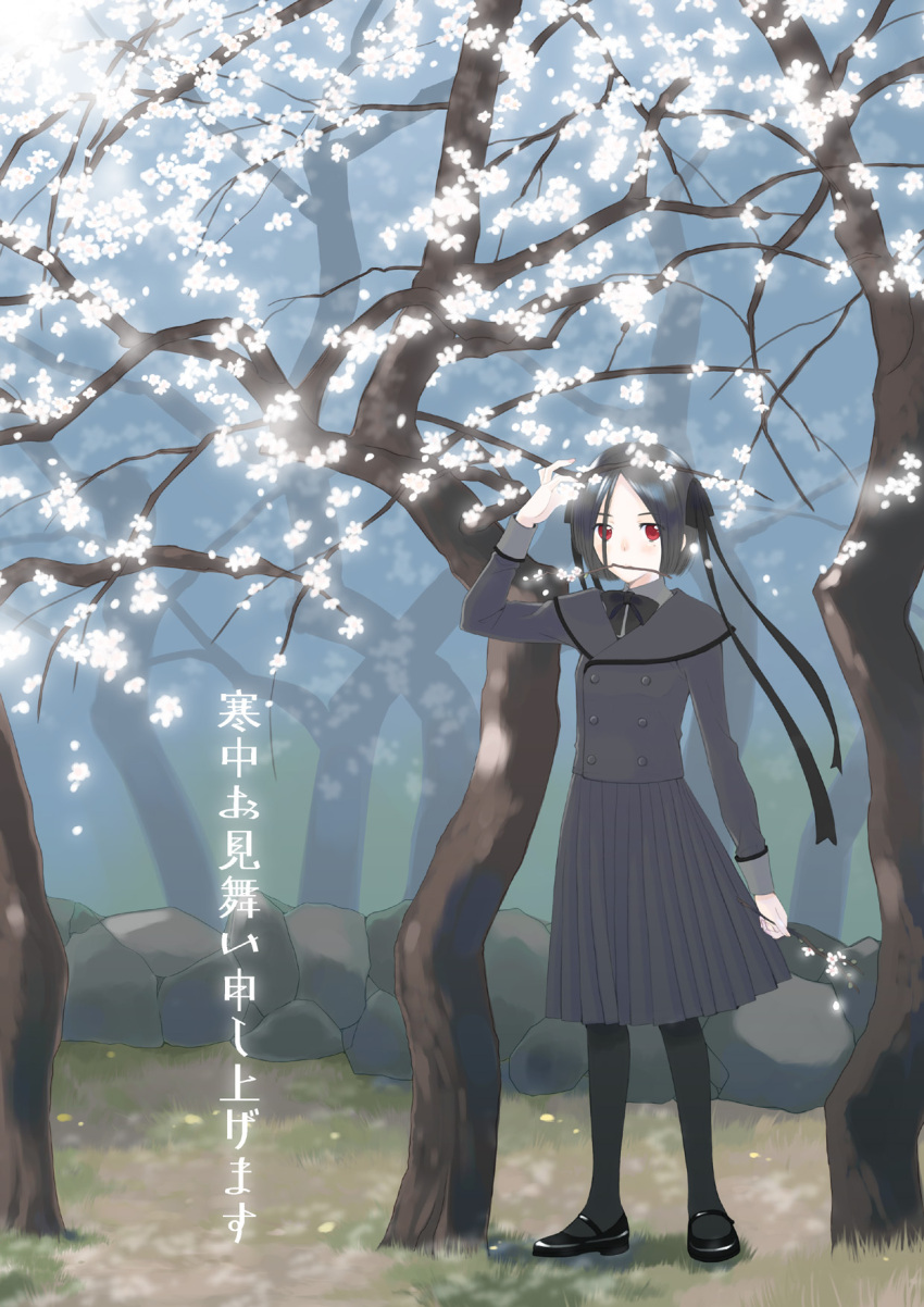 black_pantyhose female highres kazuto_izumi original outdoors pantyhose photoshop_(medium) solo tree