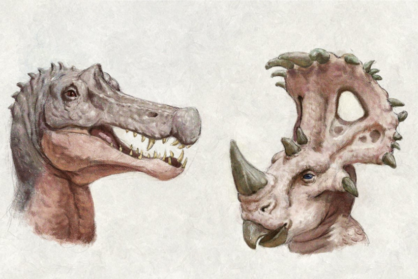 ambiguous_gender anthro beak blue_eyes brown_eyes dinosaur duo extinct facial_horn female_(lore) glistening glistening_eyes grey_body horn nose_horn open_mouth pink_body pink_tongue prehistoric_species reptile scalie sharp_teeth simple_background teeth three-quarter_view tongue unsigned upai yellow_teeth