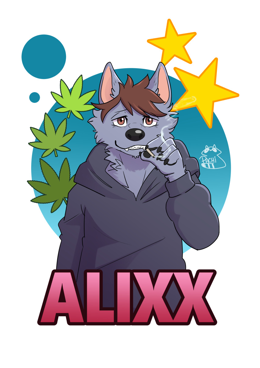 absurd_res alixx_(character) brown_eyes brown_hair canid canine canis clothed clothing drugs fur grey_body grey_fur hair hi_res male mammal marijuana pachi_mapache smoking solo weedsmoke wolf