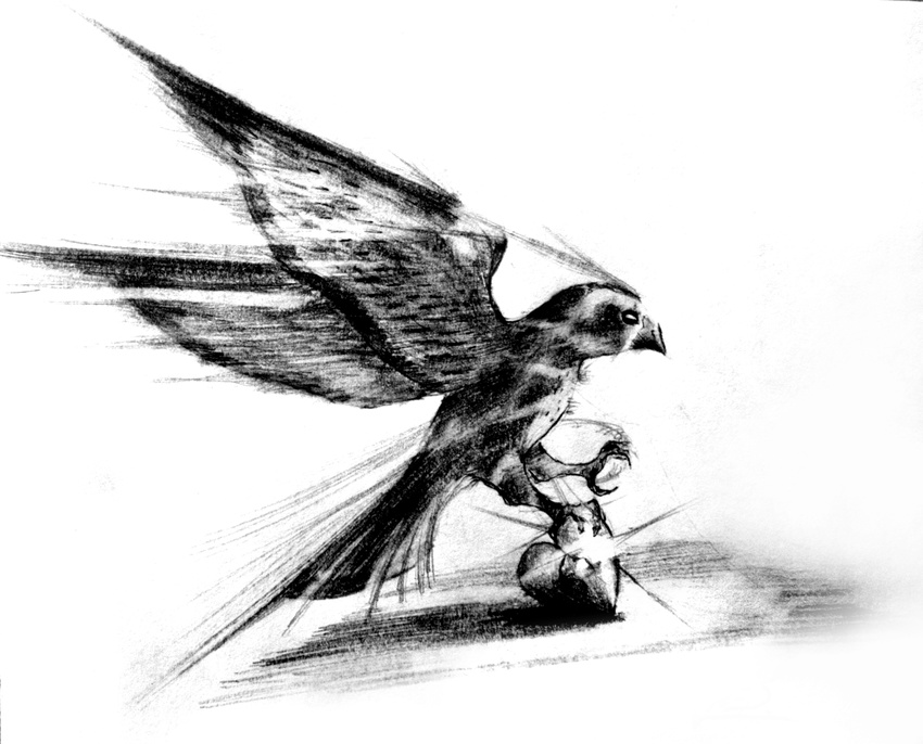 ambiguous_gender avian beak bird blast claws feathered_wings feathers feral flying flyleaf greyscale heart_symbol holt5 light monochrome nude side_view simple_background solo white_background wind wings