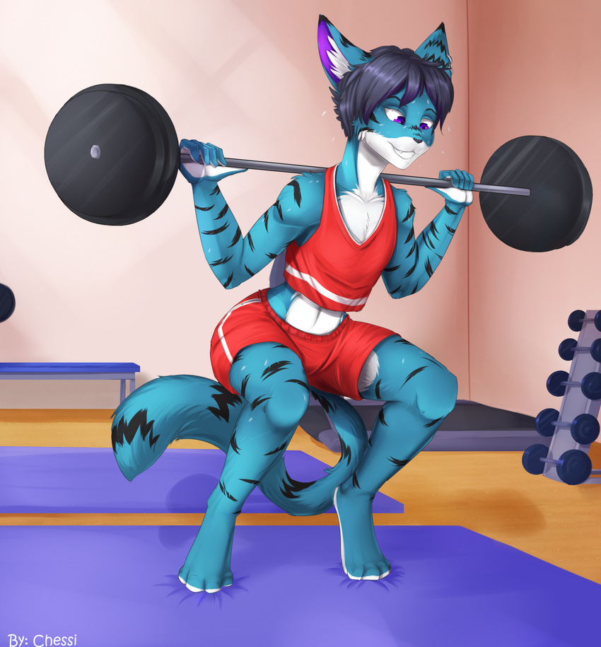 2016 absurd_res anthro artemis_(flaviagrandville) barbell bottomwear chessi clothed clothing crouching digital_media_(artwork) exercise felid femboy fur hair hi_res holding_object male mammal red_bottomwear red_clothing red_topwear shirt shorts slim smile solo sport tank_top topwear weightlifting weights workout