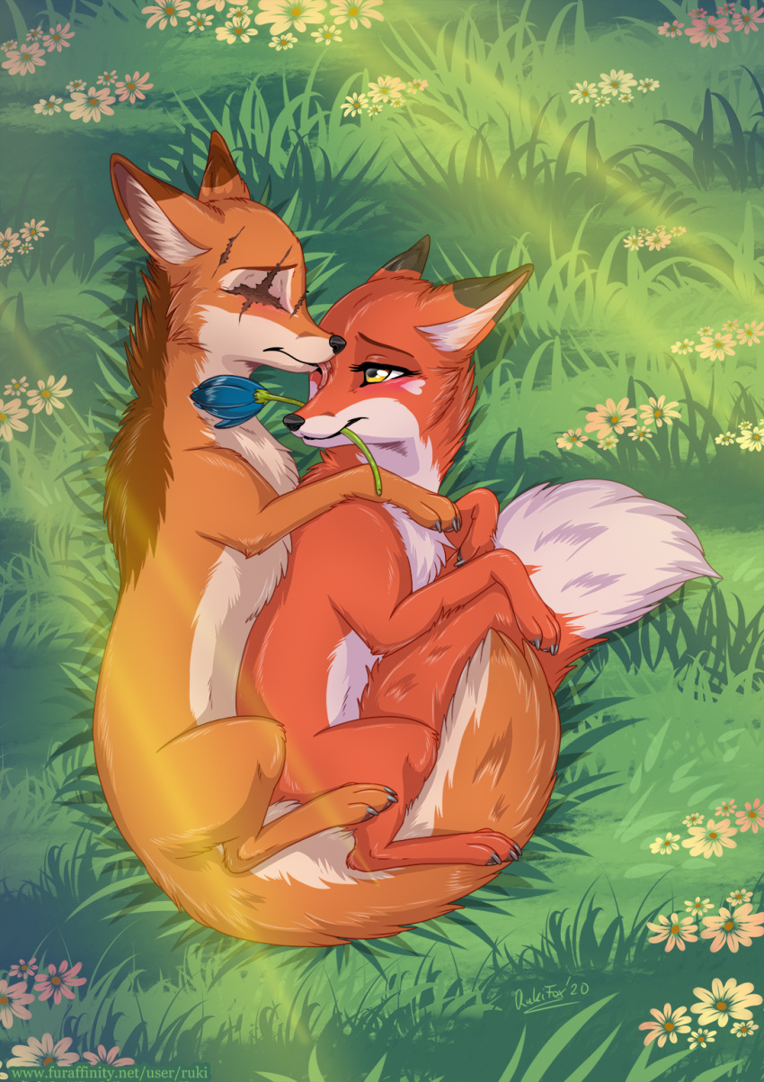 2020 abby_(rukifox) black_body black_fur brown_body brown_feathers brown_fur canid canine cuddling digital_media_(artwork) duo eye_scar facial_scar feathers female feral flower_in_mouth fox fur hi_res licking_nose love male male/female mammal multicolored_body multicolored_fur on_grass orange_body orange_fur quadruped red_body red_fur rick_(rukifox) romantic romantic_couple rukifox scar signature text url yellow_eyes