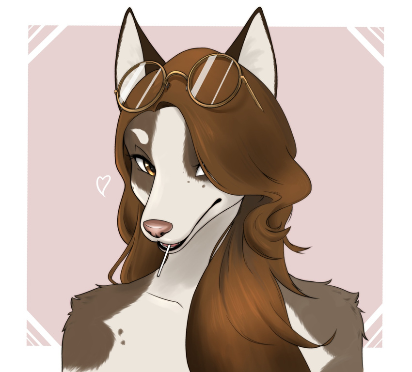 2017 anthro border brown_body brown_eyes brown_fur brown_hair bust_portrait candy canid canine canis dessert digital_media_(artwork) domestic_dog eyelashes eyewear eyewear_on_head female food front_view fur glasses glasses_on_head hair heart_symbol hi_res lollipop long_hair looking_at_viewer mammal multicolored_body multicolored_fur open_mouth outside_border pink_nose portrait simple_background snout solo two_tone_body two_tone_fur white_body white_border white_fur xan_(pixiv)