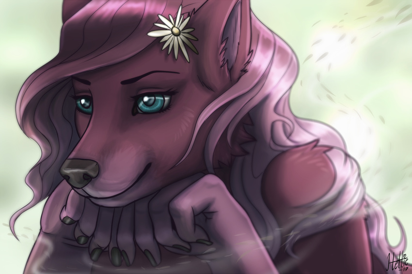 2017 5_fingers anthro avoid_posting black_nose blue_eyes canid canine canis female fingers flower fur hair hettie hettie_(character) looking_aside mammal pink_body pink_fur pink_hair plant simple_background smile solo white_background wind wolf