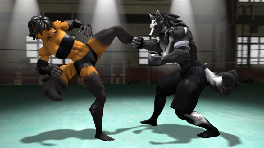 16:9 3d_(artwork) anthro black_hair black_sclera blocking boxing_shorts canid canine canis clothing digital_media_(artwork) duo female fighting_ring fur grin hair handwear hi_res kick male mammal multicolored_body multicolored_fur petruz_(copyright) smile source_filmmaker_(artwork) sport widescreen wolf wolf_(petruz) wolfikous