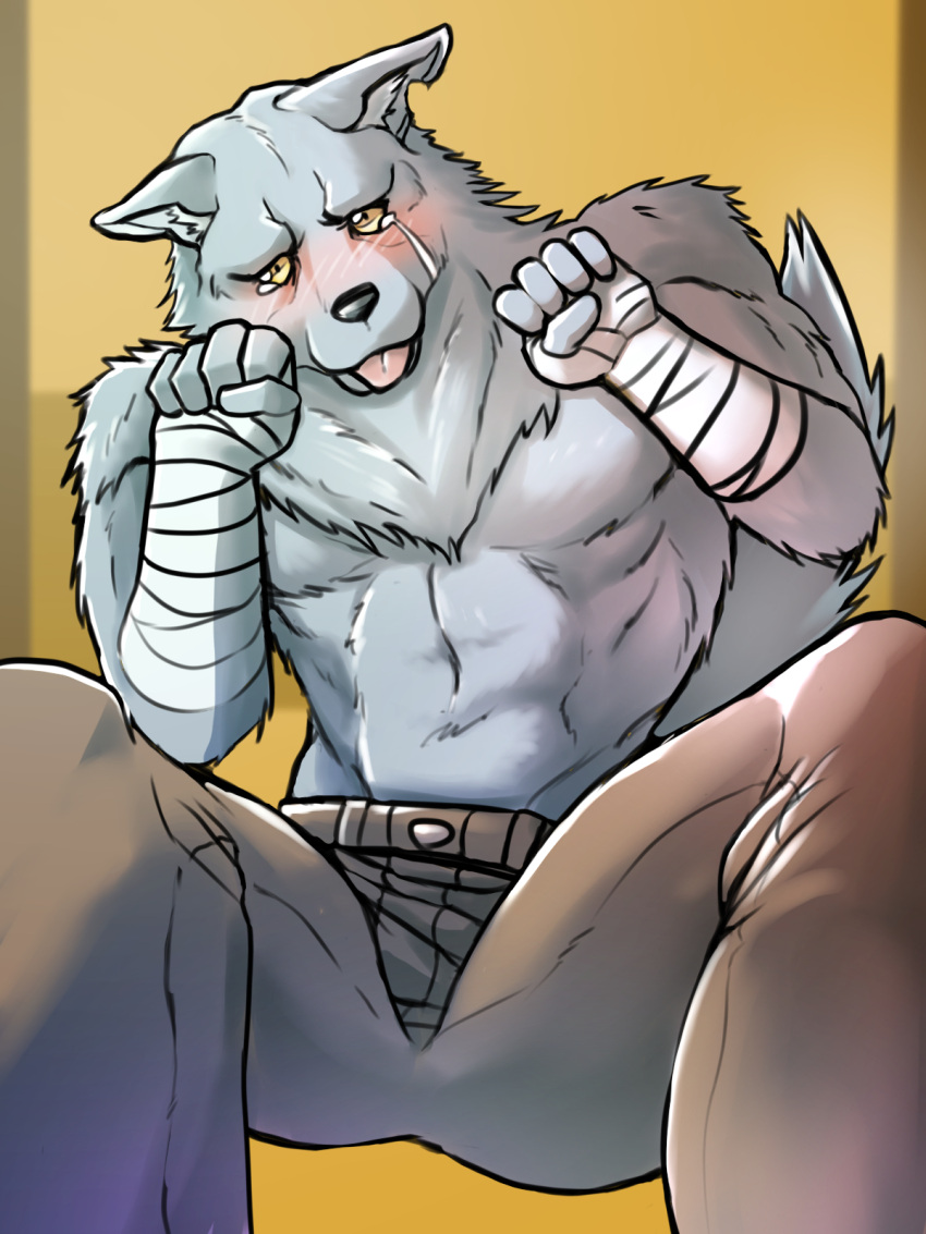 3:4 5_fingers anthro arm_wraps black_nose blush bodily_fluids bottomwear brown_bottomwear brown_clothing brown_pants canid canine canis clothed clothing fingers fist fluffy fur fur_tuft grey_body grey_ears grey_fur grey_tail hand_wraps hi_res kemono_michi:_rise_up male mammal monotone_body monotone_fur monotone_tail notched_ear pants solo tail tears tongue tongue_out topless tuft wolf wolfgang_von_kraftman wolfmanwilk wraps wrist_wraps