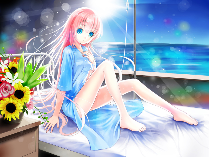 aqua_eyes barefoot bouquet commentary_request day female flower legs long_hair looking_at_viewer megurine_luka photoshop_(medium) pink_hair setona_(daice) sitting sky solo sun sunflower vocaloid