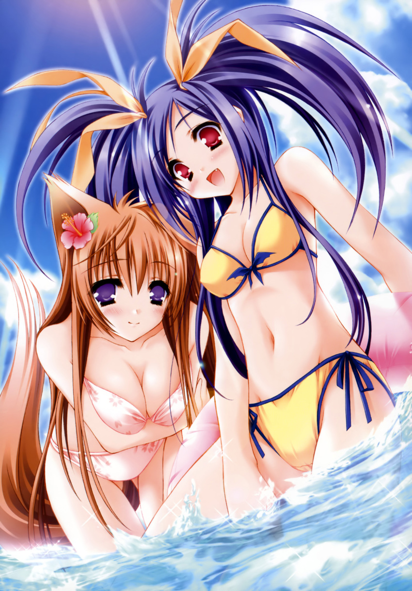 2girls :d absurdres animal_ears bikini blush breasts cleavage day flower hair_flower hair_ornament hibiscus highres kawai_ameri long_hair medium_breasts mito_mashiro moekibara_fumitake multiple_girls navel oerba_yun_fang open_mouth purple_eyes purple_hair red_eyes ribbon scan side-tie_bikini_bottom smile swimsuit tail tayutama very_long_hair wading water