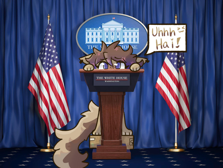 :3 american_flag blush cocoa_(dougiefluff) dougiefluff female flag hi_res photo_background photography_(artwork) president short_height solo speech_bubble standing_on_box tail text united_states_of_america white_house