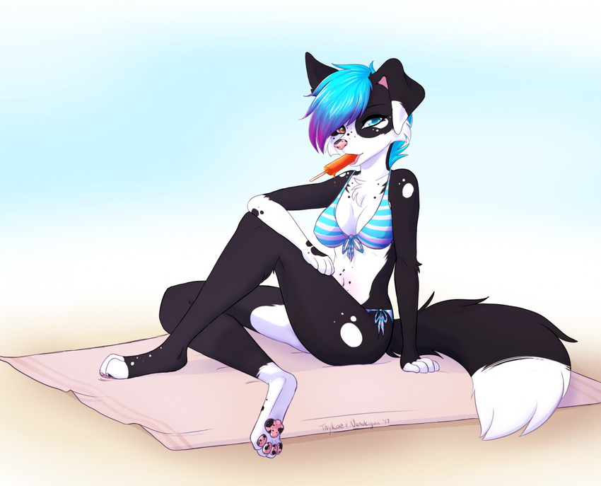 2017 5_fingers anthro beach bikini biped black_body black_fur blue_hair breasts canid canine canis cleavage clothed clothing dessert digital_media_(artwork) dipstick_tail domestic_dog female fingers food fur hair heterochromia ice_cream looking_at_viewer mammal markings multicolored_tail nanokyuu nipple_outline oceanbitt pink_nose seaside sitting smile solo swimwear tail tail_markings taykoe