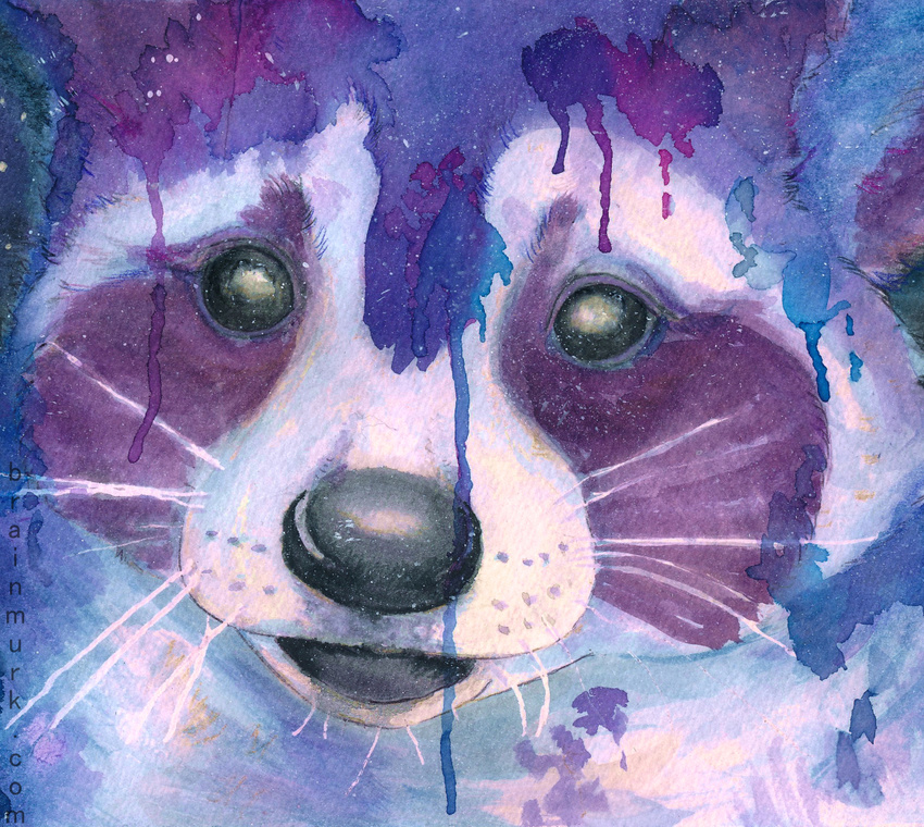 abstract_art ambiguous_gender banrai headshot_portrait mammal paint painting painting_(artwork) portrait procyonid purple_theme raccoon solo traditional_media_(artwork) watercolor_(artwork) whiskers