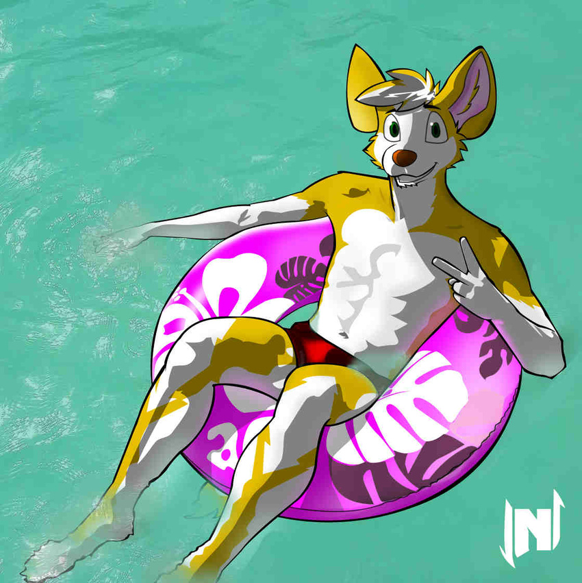 anthro avatar_(disambiguation) canid canine canis clothed clothing domestic_dog gesture hand_gesture herding_dog hybrid looking_at_viewer lownleinhigh male mammal pastoral_dog pose solo speedo summer swimming_pool swimwear topless v_sign welsh_corgi