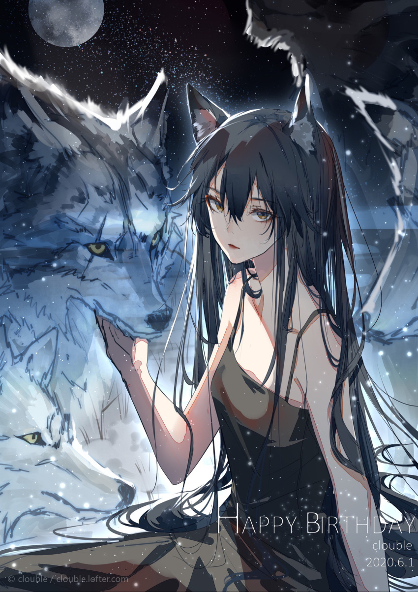 animal_ear_fluff animal_ears arknights artist_name bare_shoulders black_dress black_hair chinese_commentary clouble commentary_request dated dress english_text female hair_between_eyes happy_birthday highres long_hair looking_at_viewer moon parted_lips petting scar scar_across_eye scar_on_face sky solo star_(sky) starry_sky texas_(arknights) wolf wolf_ears wolf_girl