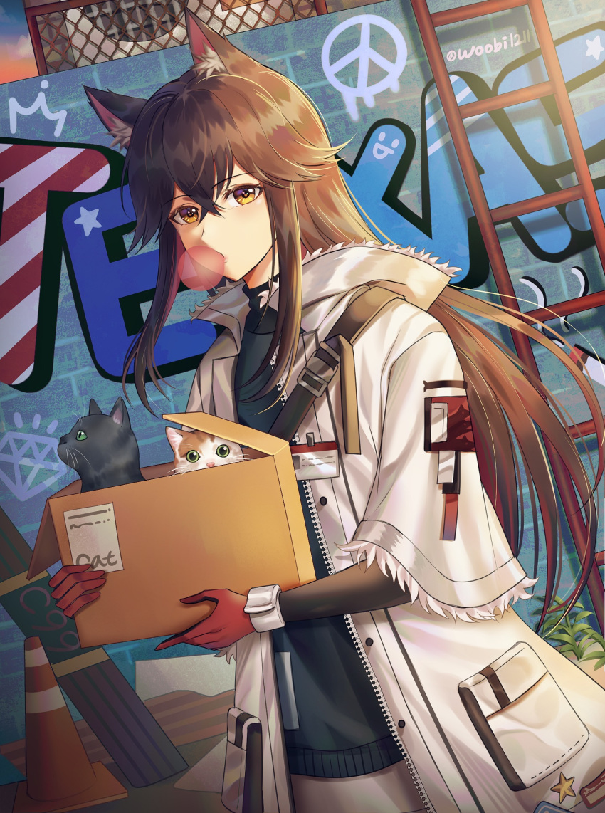 animal_ear_fluff animal_ears arknights bad_id bad_twitter_id black_hair blowing_bubbles box brown_eyes buckle character_name coat commentary_request feline female fur-trimmed_coat fur_trim gloves graffiti green_sweater grey_skirt hair_between_eyes highres holding holding_box korean_commentary long_hair long_sleeves looking_at_viewer official_alternate_costume open_clothes open_coat outdoors red_gloves red_hair shoulder_strap skirt snap-fit_buckle solo sunset sweater texas_(arknights) texas_(winter_messenger)_(arknights) turtleneck turtleneck_sweater ubi_(ekdus6080) white_coat wolf_ears wrist_cuffs