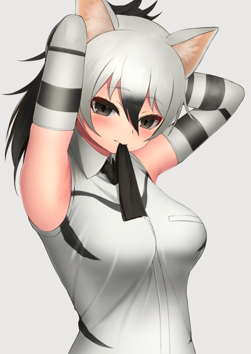 aardwolf_(kemono_friends) aardwolf_print absurdres animal_ear_fluff animal_ears arms_up black_eyes black_hair black_necktie blush breasts commentary deku_suke elbow_gloves female gloves grey_background hair_between_eyes highres kemono_friends long_hair looking_at_viewer medium_breasts mouth_hold multicolored_hair necktie necktie_in_mouth ponytail shirt simple_background sleeveless sleeveless_shirt solo symbol-only_commentary two-tone_hair tying_hair upper_body white_hair