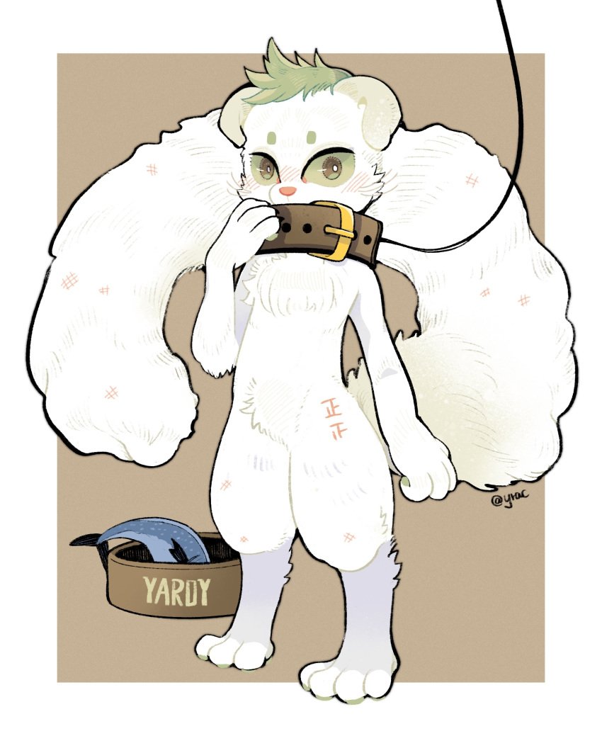 2020 absurd_res anthro big_collar blush blush_lines border bowl brown_background bruised character_name cheek_tuft chest_tuft collar container crotch_tuft facial_tuft felid feline fish floppy_ears fluffy fluffy_tail food front_view full-length_portrait fur green_hair green_sclera hair hi_res leash leg_markings long_tail looking_at_viewer lop_ears male mammal marine markings nude oversized_collar pet_bowl pink_nose portrait simple_background socks_(marking) solo standing tail thick_thighs tuft whiskers white_body white_border white_fur yardy yrac