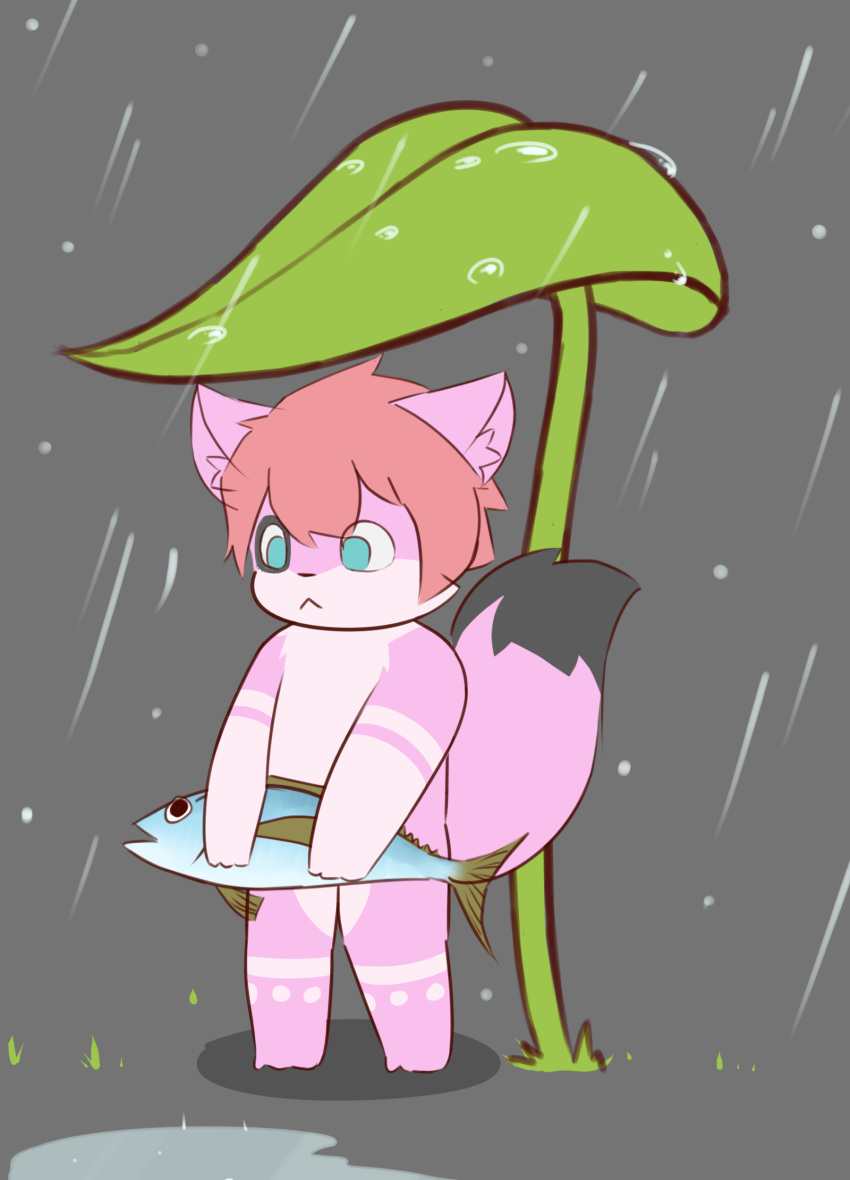 2018 absurd_res anthro black_body black_fur blue_eyes chibi cynxie_(artist) domestic_cat felid feline felis fish fur hair hi_res leaf male mammal marine naz_namaki_(cynxie) pink_body pink_fur pink_hair raining simple_background solo young young_anthro