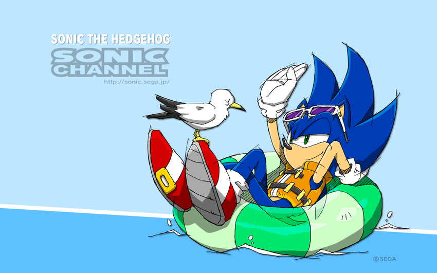 16:10 ambiguous_gender anthro avian bird blue_background blue_body eulipotyphlan eyewear green_eyes gull hedgehog hi_res inflatable lari larid life_jacket male mammal official_art pool_toy sega simple_background solo sonic_channel sonic_the_hedgehog sonic_the_hedgehog_(series) sunglasses swim_ring wallpaper water widescreen yuji_uekawa