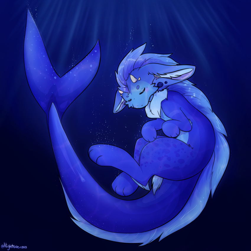 1:1 absurd_res ambiguous_gender big_ears big_tail blue_background blue_body bubble closed_eyes dragon ear_piercing fin fish floppy_ears fur furred_dragon furred_marine furred_scalie furred_shark gauged_ear hi_res horn hybrid marine merfolk mythological_creature mythological_scalie mythology neck_tuft nightraven393 piercing reptile scalie sea shark shark-dragon simple_background solo split_form tail tuft underwater water