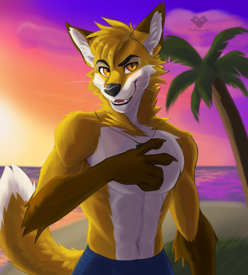 abs anthro arm_tuft beach bottomwear brown_arms brown_body brown_ears brown_fur canid canine claws clothed clothing dipstick_arms dipstick_ears dipstick_tail doppelfoxx ear_markings ear_tuft elbow_tuft fingers fox fur hi_res jakkals_van_der_bergh_(doppelfoxx) jayraccoonart jewelry looking_at_viewer male mammal markings multicolored_ears muscular necklace orange_body orange_eyes orange_fur sea seaside smile smirk solo sunset swimming_trunks swimwear tail tail_markings teeth topless topless_anthro topless_male tuft water