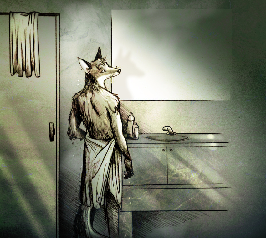 anthro canid canine culpeofox dipstick_arms dipstick_ears doppelfoxx dripping ear_markings fox hi_res jakkals_van_der_bergh_(doppelfoxx) looking_at_viewer looking_back male mammal mirror monochrome multicolored_ears shampoo_bottle shower shower_door sink solo towel towel_around_waist towel_only wet whiskers