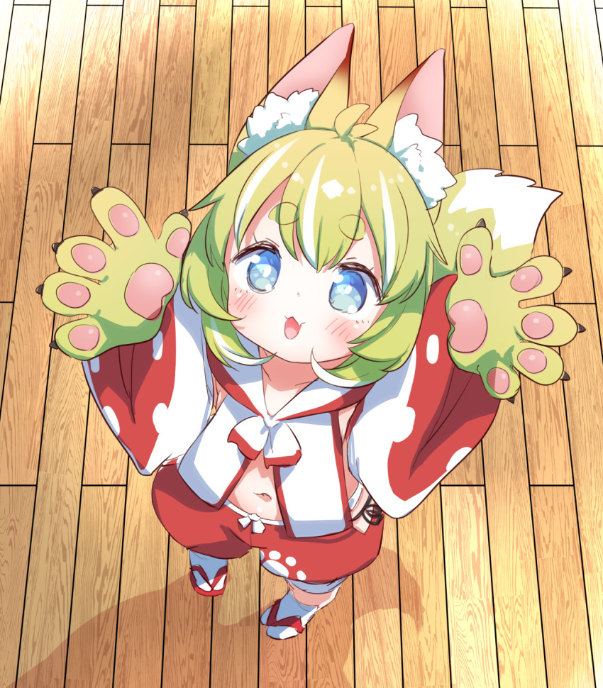 :3 animal_ears animal_hands babalilo babalilo_(babalilo) bad_id bad_misskey.io_id blue_eyes blush claws detached_sleeves female fox_ears fox_tail full_body green_hair highres japanese_clothes looking_at_viewer looking_up multicolored_hair navel oerba_yun_fang open_mouth original outstretched_hand pawpads puffy_shorts red_shorts sandals shorts skin_fang solo stomach streaked_hair tabi tail third-party_source webp-to-png_conversion white_hair wooden_floor zouri