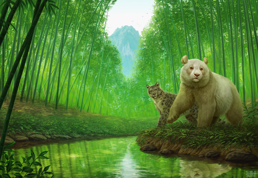 adobe_photoshop_(artwork) adopted_(lore) adoptive_sibling_(lore) adoptive_sister_(lore) adoptive_sisters_(lore) alternate_version_at_source ambient_bird ambiguous_gender bamboo bamboo_forest bamboo_kingdom bear blue_eyes blue_sky book_cover brown_eyes brown_nose cover creek day detailed_background digital_media_(artwork) digital_painting_(artwork) duo felid feral forest fur ghost_born_of_winter giant_panda grass green_theme grey_body grey_fur hi_res johis leopard_spots looking_at_viewer mammal official_art outside pantherine paws photorealism plant raised_paw reflection rock shaded shiver_born_of_winter sky snow_leopard spots standing tail tan_body tan_fur tree water white_body white_fur