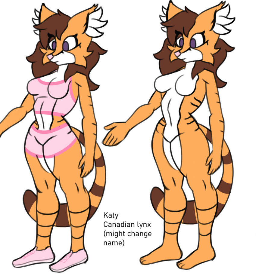 anthro bottomwear breasts brown_body brown_fur brown_hair brown_tail canadian_lynx character_name clothing eyelashes felid feline female fur gamesfan hair hi_res katy_(gamesfan) lynx mammal markings model_sheet multicolored_body multicolored_fur orange_body orange_fur orange_tail pink_clothing pink_nose purple_eyes solo tail_markings topwear two_tone_body two_tone_fur two_tone_tail white_body white_fur