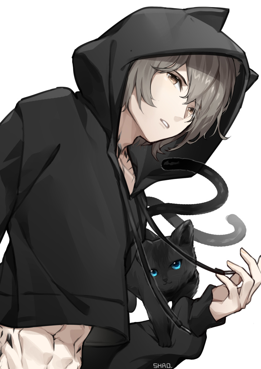 1boy abs absurdres animal_hood arknights bad_id bad_pixiv_id black_cat black_hoodie brown_eyes cat_hood christine_(arknights) commentary_request drawstring feline grey_hair highres hood hoodie long_sleeves looking_at_viewer male_focus material_growth multiple_tails nekomata oripathy_lesion_(arknights) parted_lips phantom_(arknights) shao_(shaorouhong) simple_background tail two_tails upper_body white_background