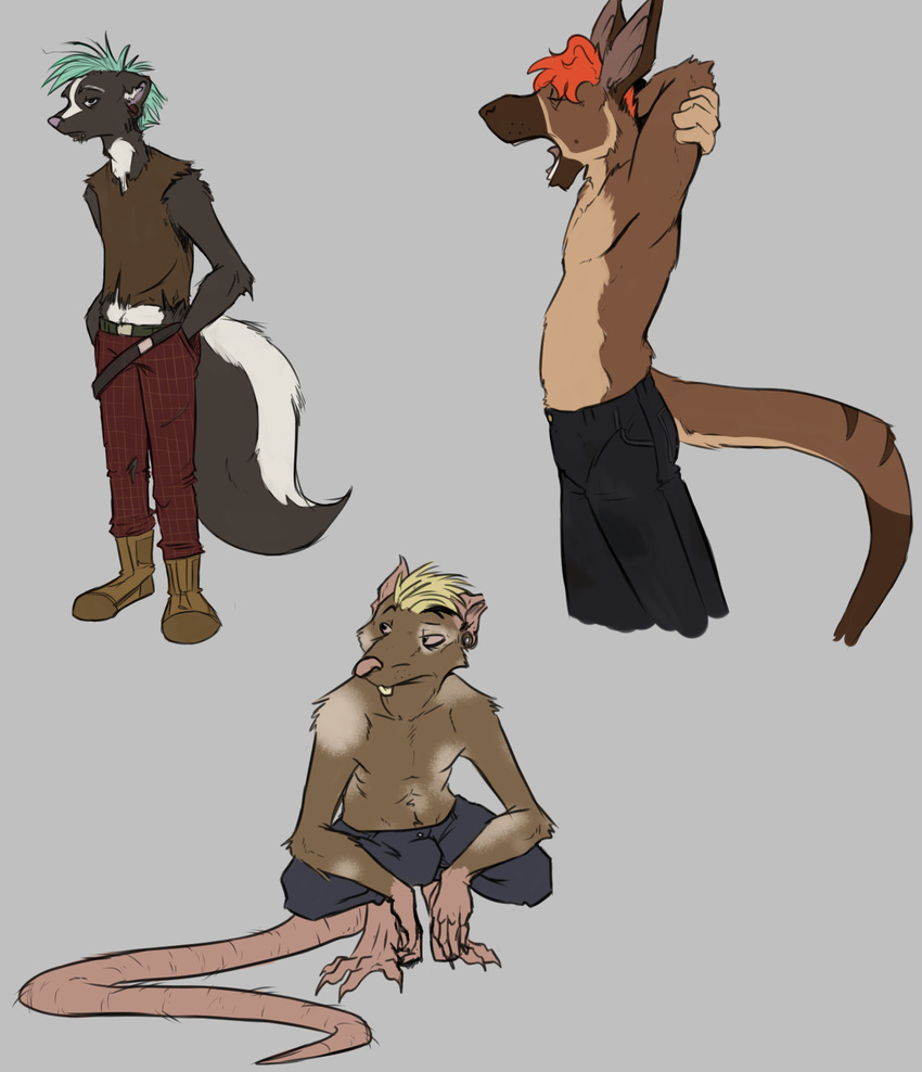 adrian_skunk anthony_(skunkjunkie) anthro belt bulge closed_eyes clothed clothing crouching digitigrade grey_background hand_in_pocket hands_in_both_pockets hi_res kangaroo looking_away macropod male mammal marsupial mephitid midriff multiple_images murid murine navel open_mouth pockets rat rodent simple_background skunk skunkjunkie solo stretching topless vincent_(skunkjunkie) yawn