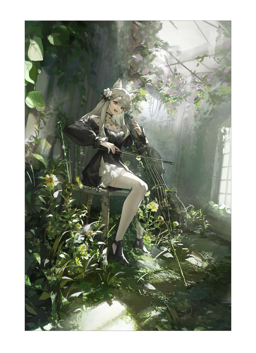 14sky absurdres animal_ears arknights black_footwear chair chinese_commentary commentary_request conservatory female flower garden greenhouse hair_flower hair_ornament hanging_plant heavyrain_(arknights) heavyrain_(tranquil_moss)_(arknights) highres holding holding_instrument indoors instrument long_hair long_sleeves looking_at_viewer music official_alternate_costume plant playing_instrument potted_plant scenery sitting solo sunlight third-party_source violin white_hair white_legwear window