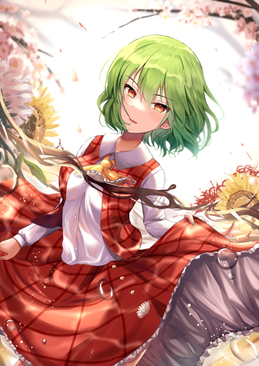 kazami_yuuka kkkk12103 tagme touhou