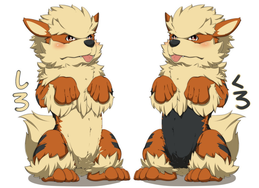 2016 arcanine blush canid duo feral generation_1_pokemon japanese_text male mammal nintendo okunawa pokemon pokemon_(species) simple_background standing text tongue tongue_out translated white_background