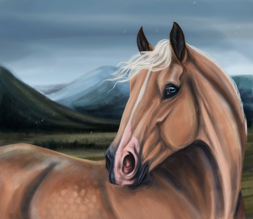 ambiguous_gender blonde_hair blonde_mane blue_eyes brown_body daisy_(wasen) digital_media_(artwork) equid equine facial_markings feral hair head_markings horse looking_at_viewer mammal mane markings mountain solo voronasasha