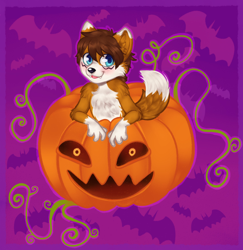 anthro blush canid canine chofana food fox fruit halloween hi_res holidays looking_at_viewer luvini male mammal plant pumpkin solo