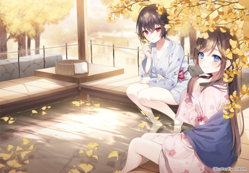 a20_(atsumaru) blue_eyes brown_hair japanese_clothes leaves long_hair red_eyes short_hair tree water