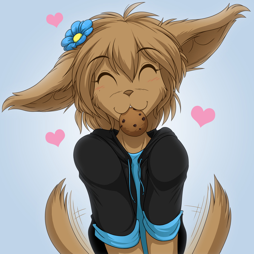 1:1 :3 ^_^ anthro basitin big_ears blush brown_body brown_fur brown_hair closed_eyes clothed clothing colored conditional_dnp cookie daisy_(flower) felid female flower food fur hair happy heart_symbol hoodie hybrid lagomorph madelyn_adelaide mammal plant princess royalty shirt short_hair simple_background smile solo tail tail_motion tailwag tom_fischbach topwear twokinds