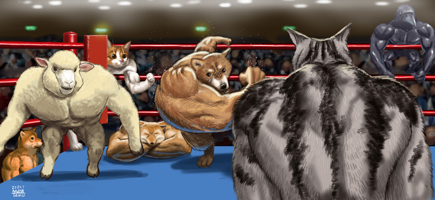 action animal animal_focus bird blurry blurry_background canine closed_eyes crossed_arms crow crowd feline flexing fox furrification furry matataku meme motion_blur muscle_fox muscular personification photo-referenced pose punching right-hook_dog sheep shiba_inu sweat sweatdrop twitter wrestling_ring