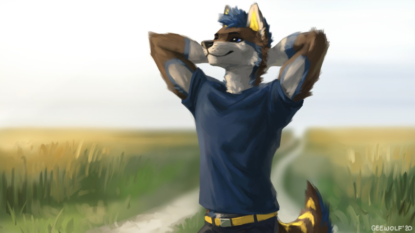 16:9 anthro black_nose blue_body blue_fur blue_hair bottomwear canid canine canis clothed clothing coyote ears_up fur geewolf grass hair happy hybrid male mammal open_eye orange_body orange_fur pants plant raised_tail sky smile solo white_body white_fur widescreen wolf