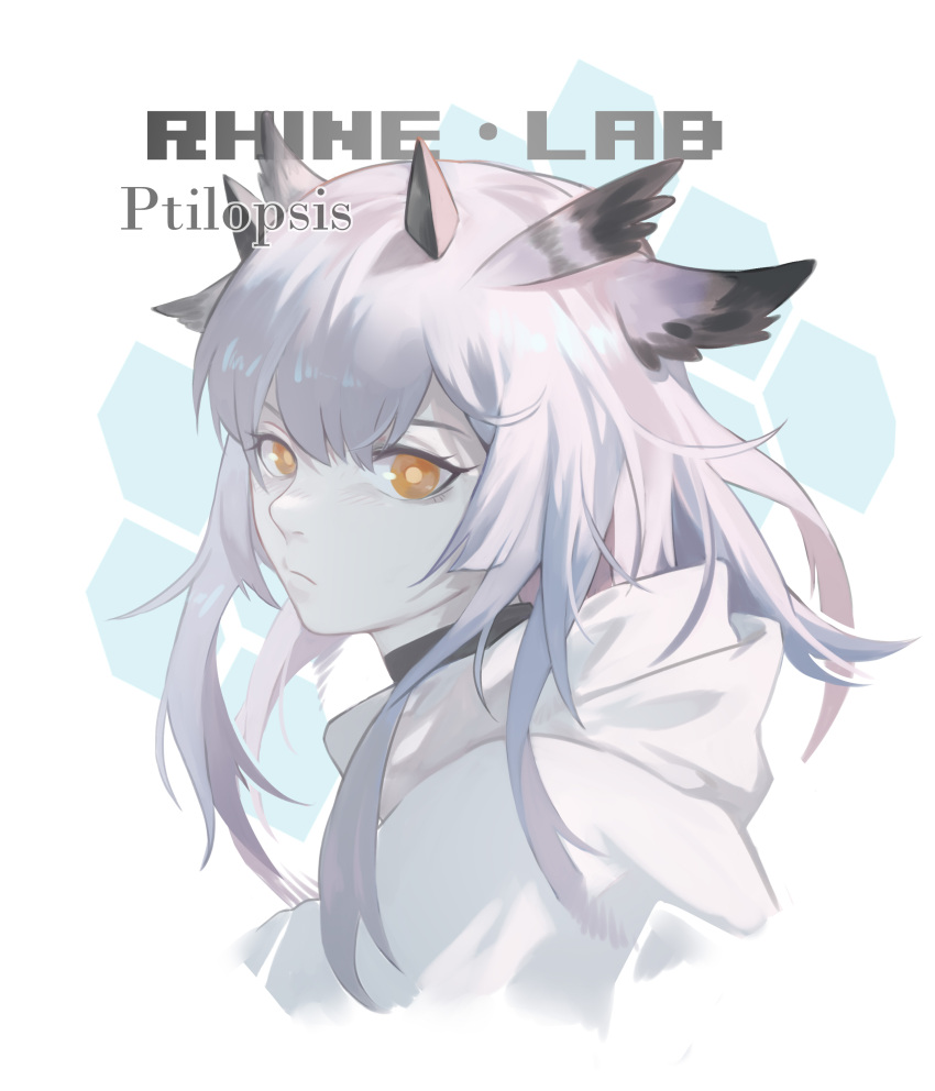 absurdres arknights bright_pupils character_name coat female highres honeycomb_(pattern) honeycomb_background looking_to_the_side narakuuu nose orange_eyes owl_ears patterned_background portrait pouty_lips ptilopsis_(arknights) simple_background solo white_coat white_hair