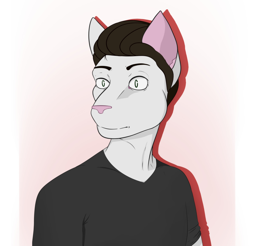 anthro black_clothing black_shirt black_topwear brown_hair clothing domestic_cat eyebrows felid feline felis fur hair hano101 hano_(hano101) hi_res male mammal raised_eyebrow shirt simple_background simple_eyes solo topwear white_body white_fur