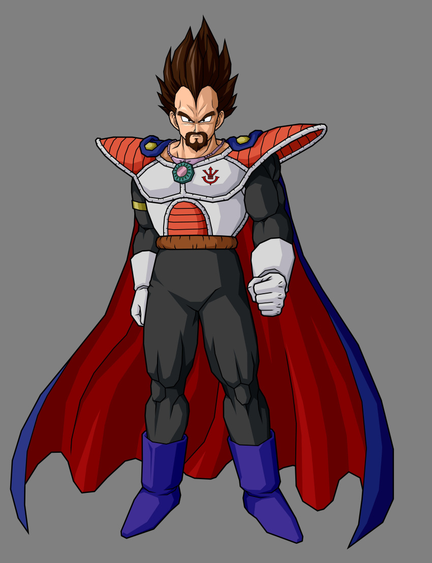 dragon_ball dragon_ball_z king_vegeta male tagme