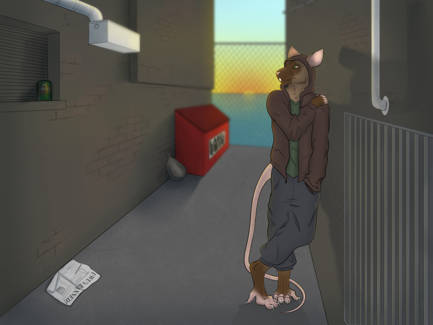 4:3 absurd_res alley clothed clothing hi_res hoodie joerat leaning male mammal murid murine outside rat rodent solo standing topwear