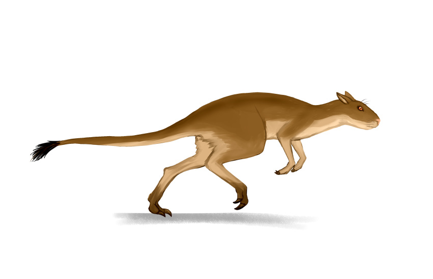 allotheria ambiguous_gender bipedal_feral brown_body feral hi_res hypomartyria running solo tail tail_tuft tuft